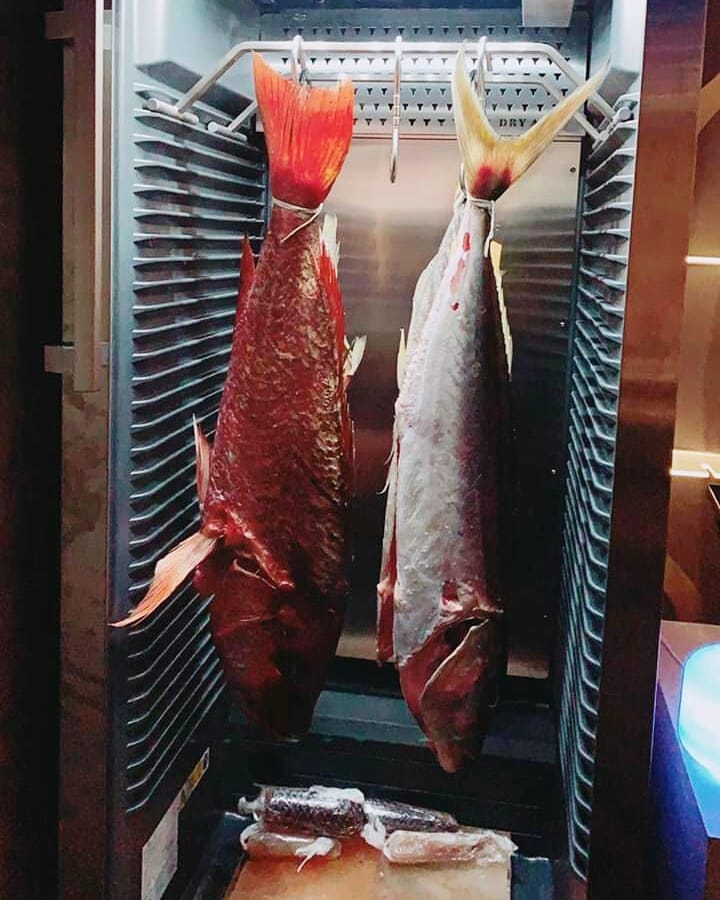Can you dry age fish? Dry Ager Australia & NZ