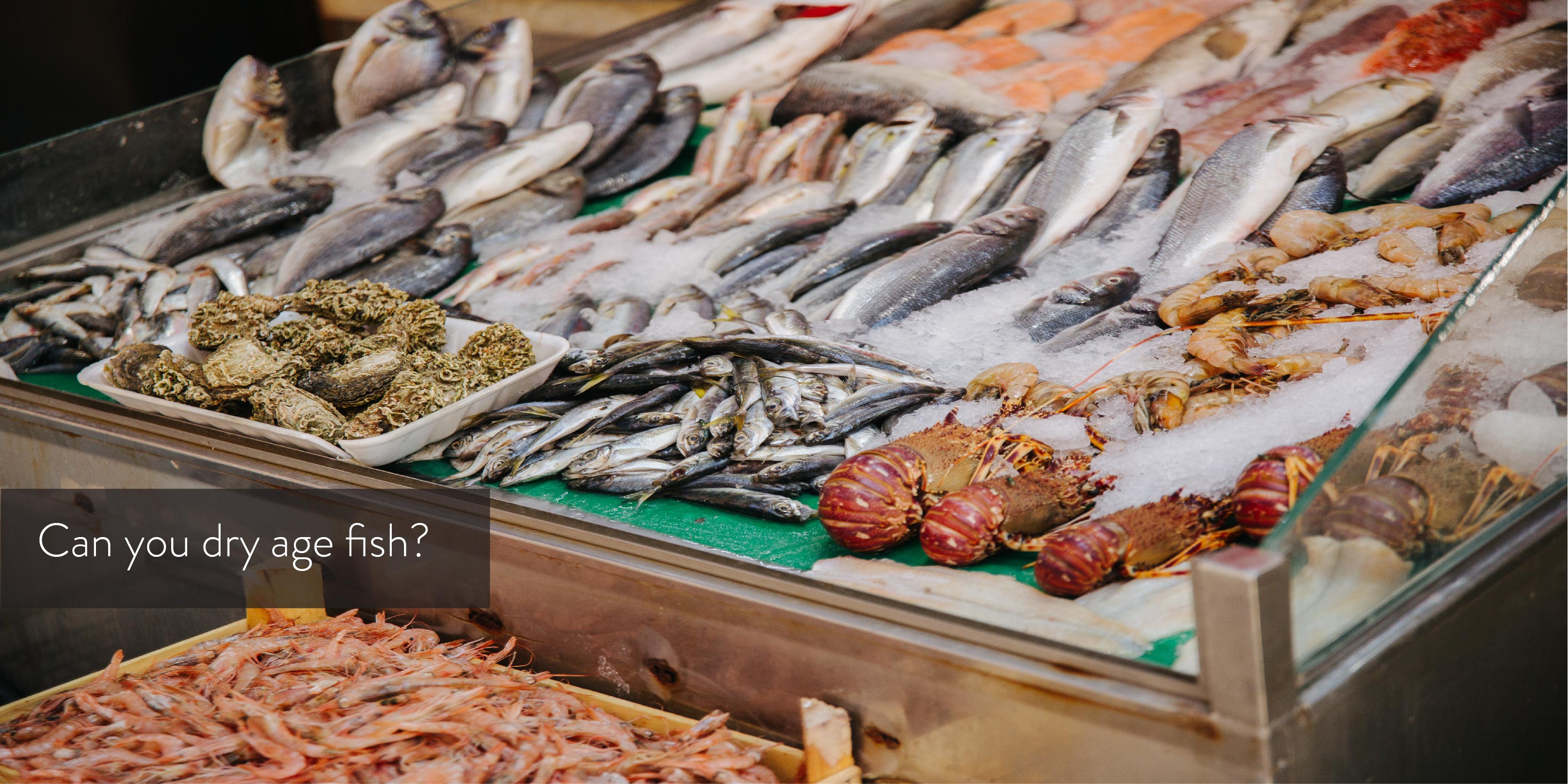Can you dry age fish? Dry Ager Australia & NZ